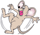 picture of Big Brother Mouse
