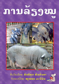 How to Care for Pigs book cover