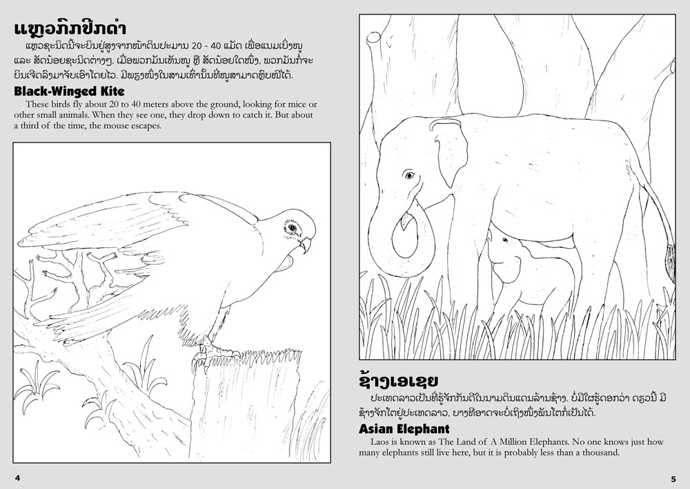sample pages from Lao Animals Coloring Book, published in Laos by Big Brother Mouse