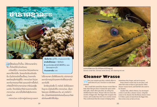 Samples pages from our book: Life in the Sea