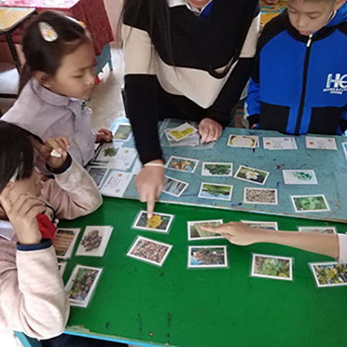 Students at a Lao school look at cards that depict various aspects of trees, such as flower, leaf, fruit.