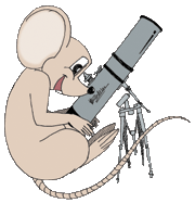 picture of Big Brother Mouse