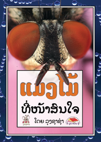 Insects are Fascinating book cover