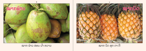 Sample pages from our book: Fruits That I Know
