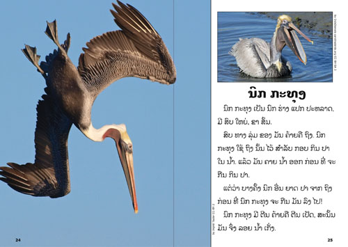 Sample pages from our book: The Green Book about Animals of the World
