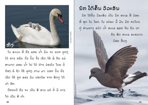 Sample pages from our book: The Green Book about Birds