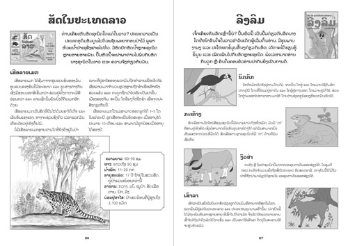 Sample pages from our book: Our Family Book