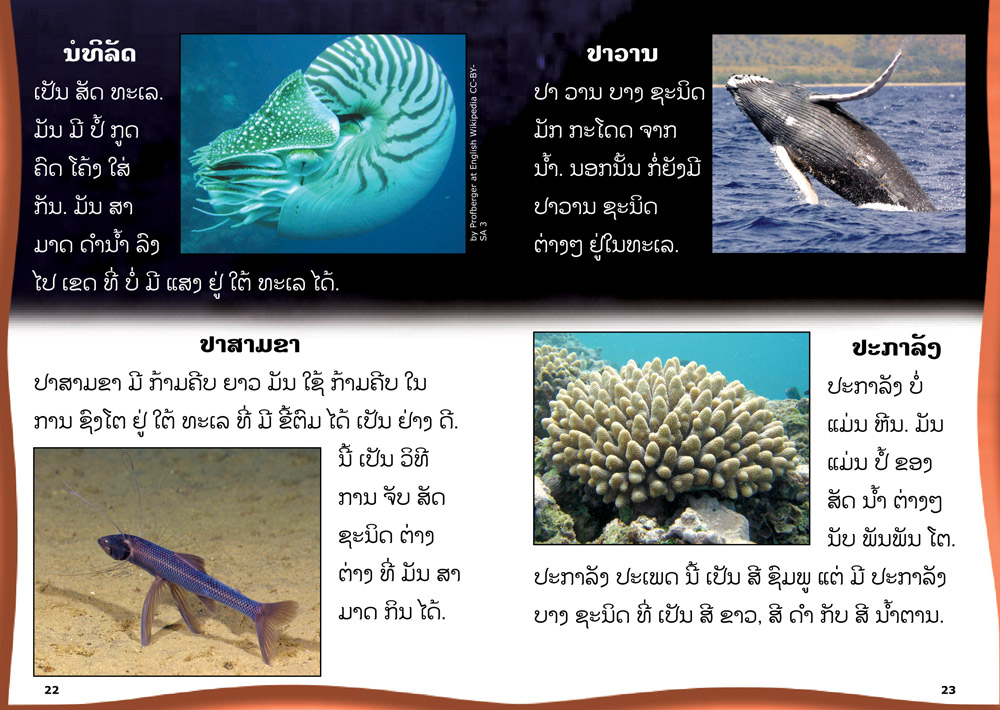 Sample pages from our book: Yellow Book of Interesting Facts