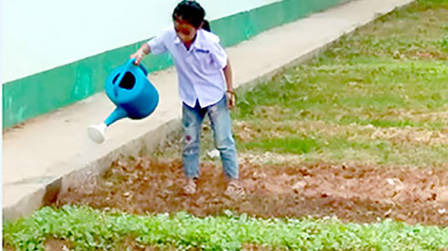Little Rabbit School in Muang Houn, Udom Xai, has a garden in back where children grow food - and later, eat it.