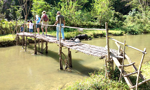 5 people cross a bamboo bridge in Nong Khiao, Laos