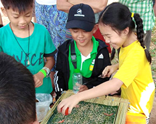 Lao children making kaipaen, a local specialty made with plants that grow in the river